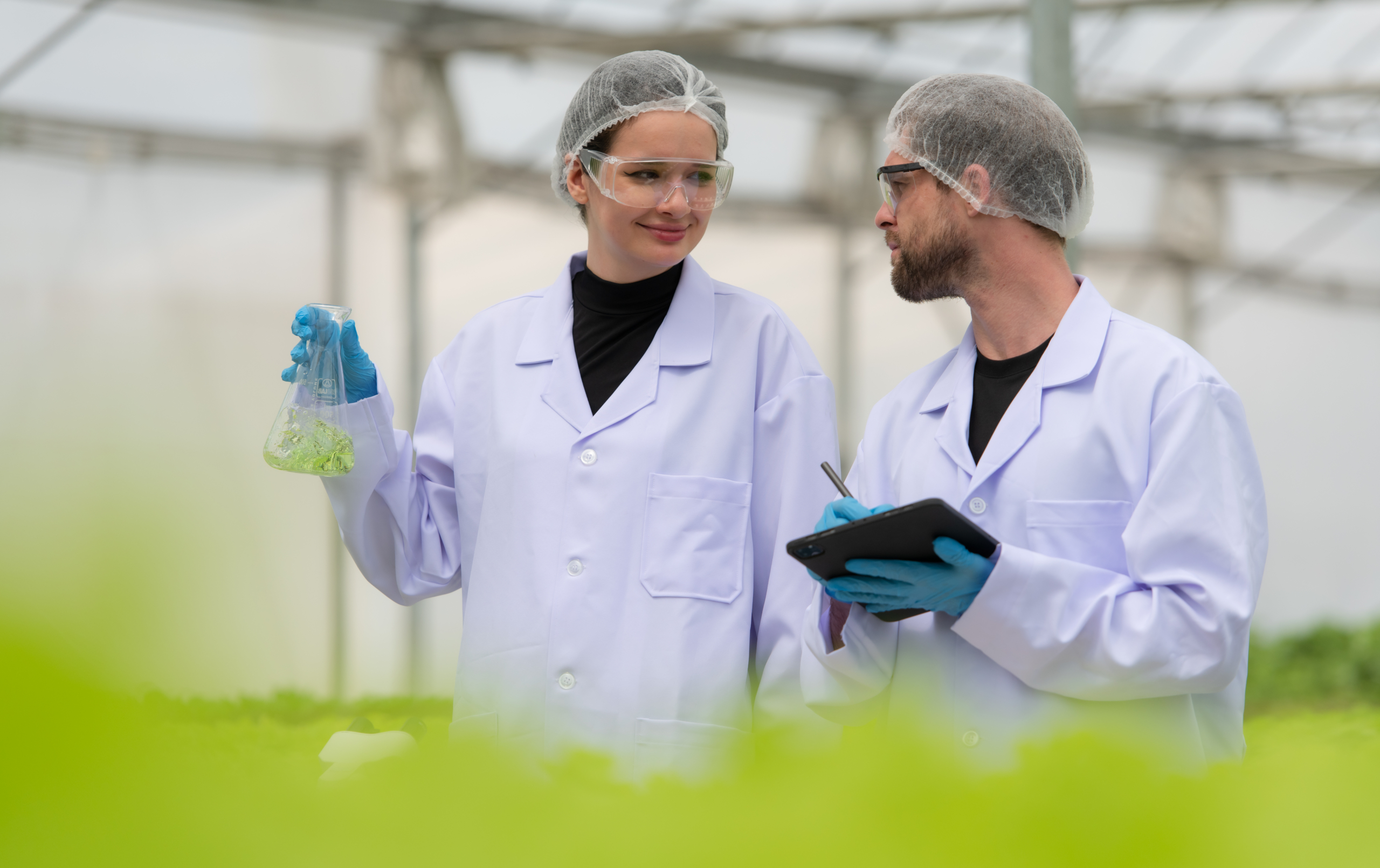 Scientists are conducting research and development on the cultiv Scientists are conducting research and development on the cultivation of organic vegetables in a closed farm.